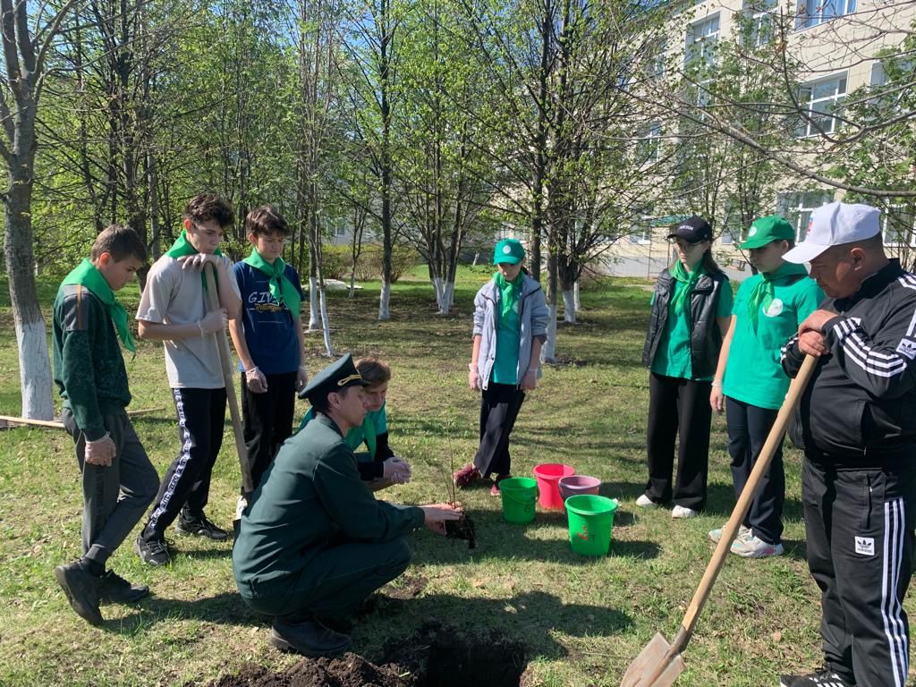 В Аксубаевской школе есть свой сад памяти