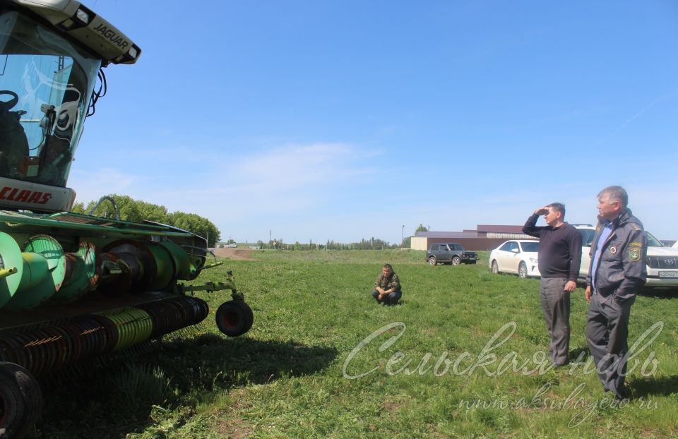 На аксубаевских полях трава подрастает, техника к ее уборке готова