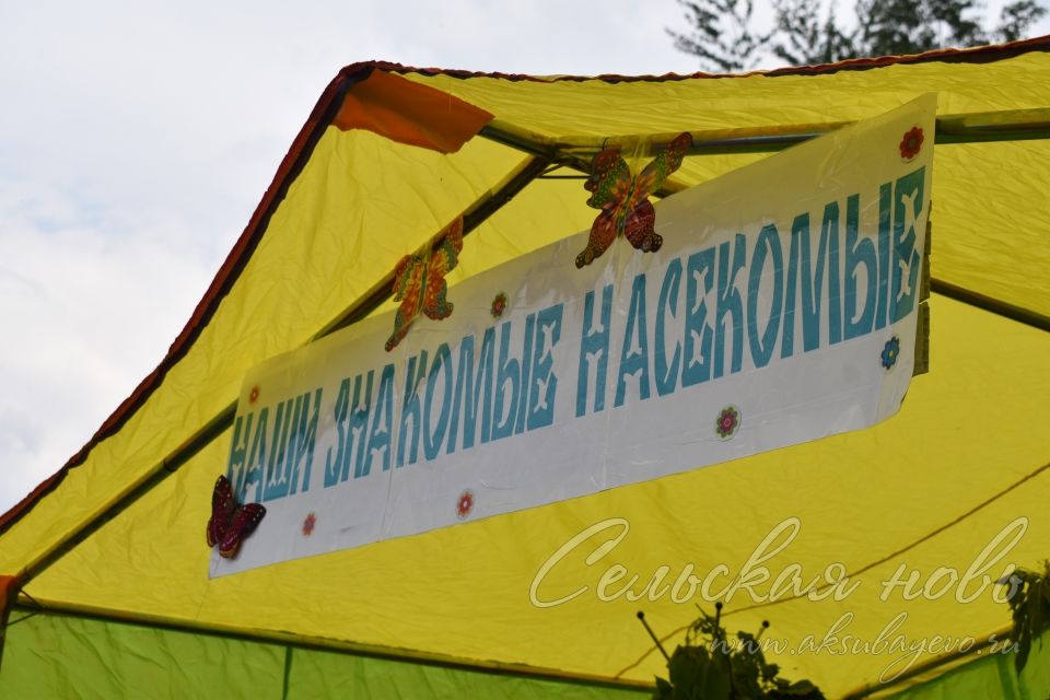 Экофестиваль в Аксубаеве: пробудить природу и жить с ней в ладу