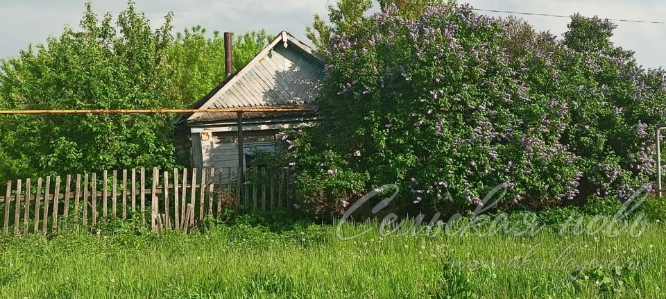 За бурьян на участке и перед домом аксубаевцев накажут рублем