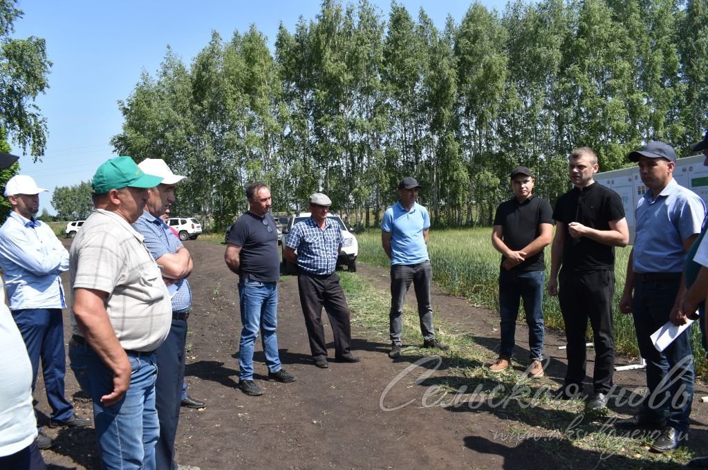 В Аксубаевском районе обсуждали, как защитить растения в летнюю сухую погоду