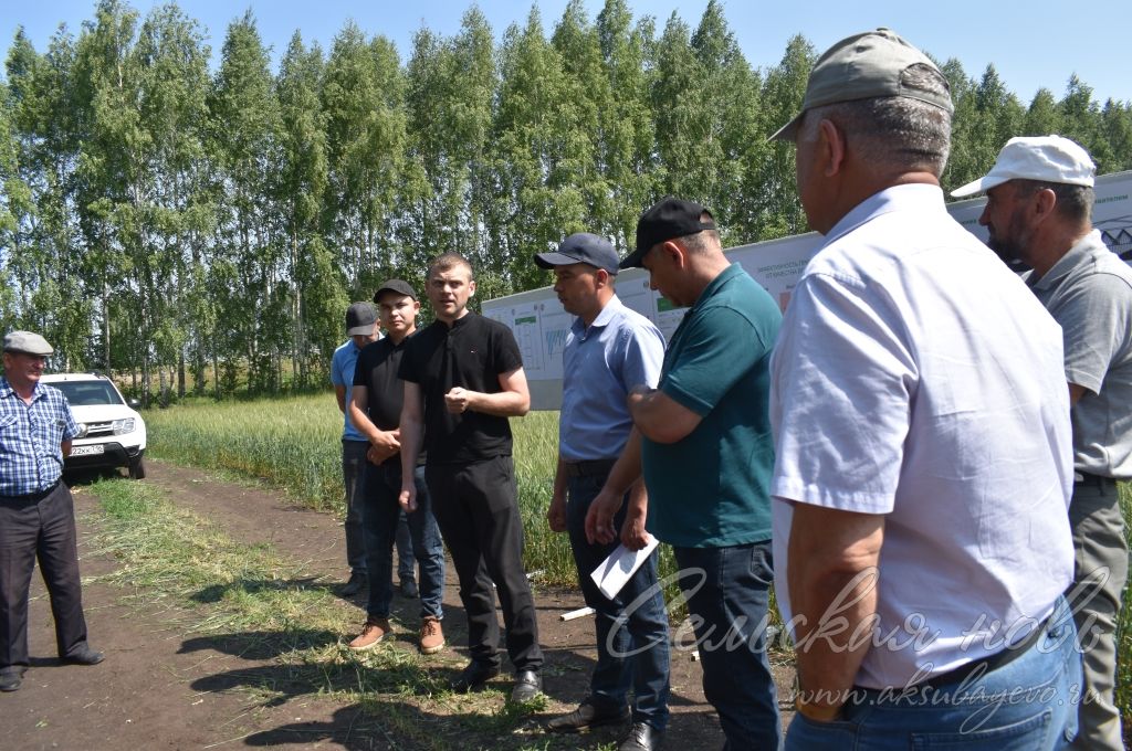 В Аксубаевском районе обсуждали, как защитить растения в летнюю сухую погоду