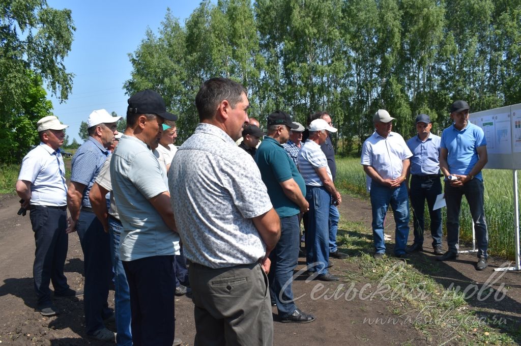 В Аксубаевском районе обсуждали, как защитить растения в летнюю сухую погоду