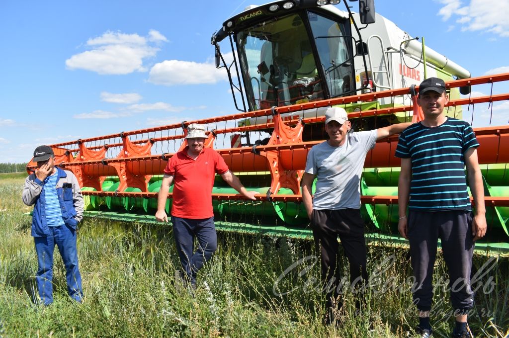 В Аксубаевском районе проверили готовность к жатве