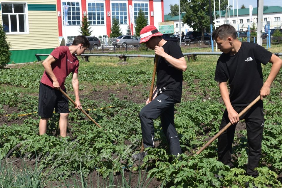 Отзвенел детский смех в пришкольных лагерях Аксубаевского района