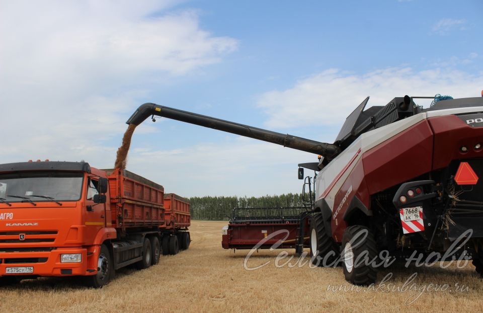 В Аксубаевском районе началась уборка зерновых культур