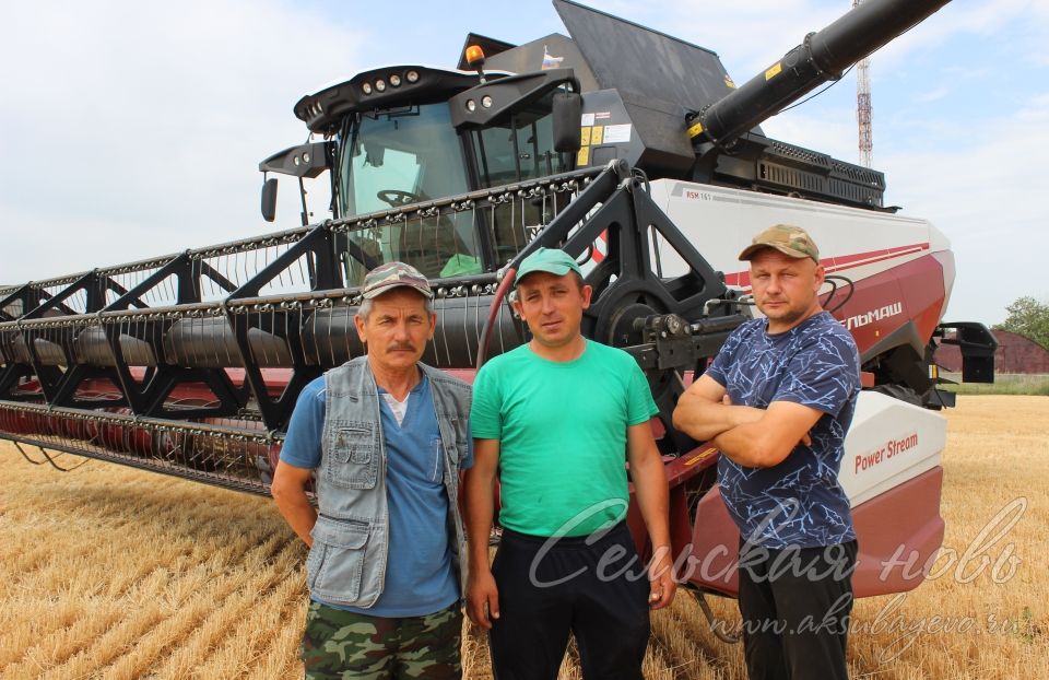 В Аксубаевском районе началась уборка зерновых культур