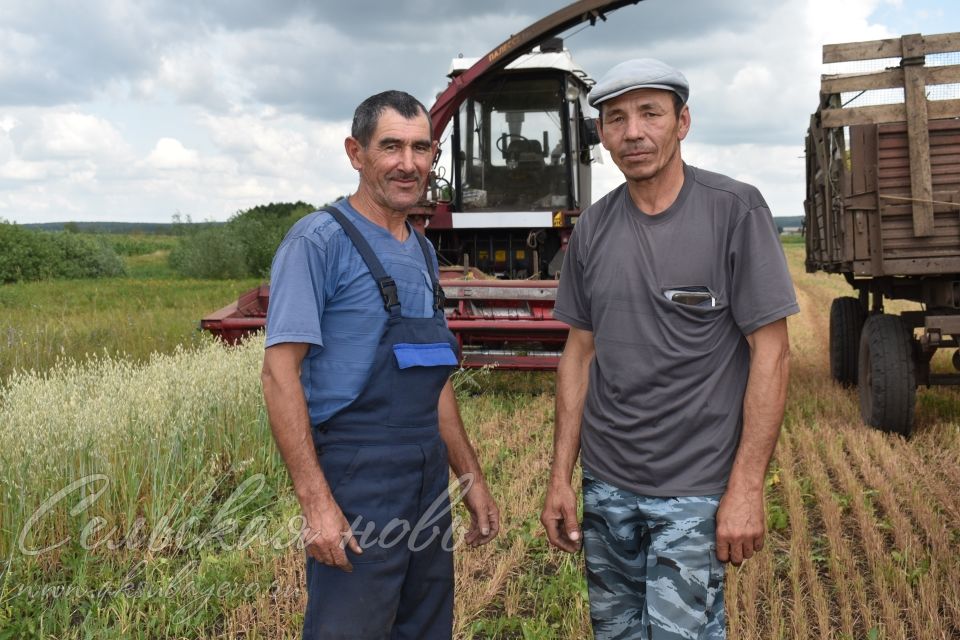 В Фермерском хозяйстве дорог каждый час