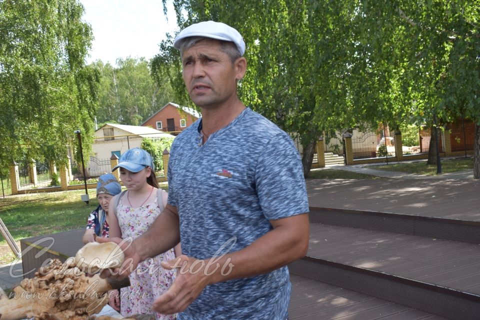 Аксубаевский мастер рассказал, как обработать березовый кап