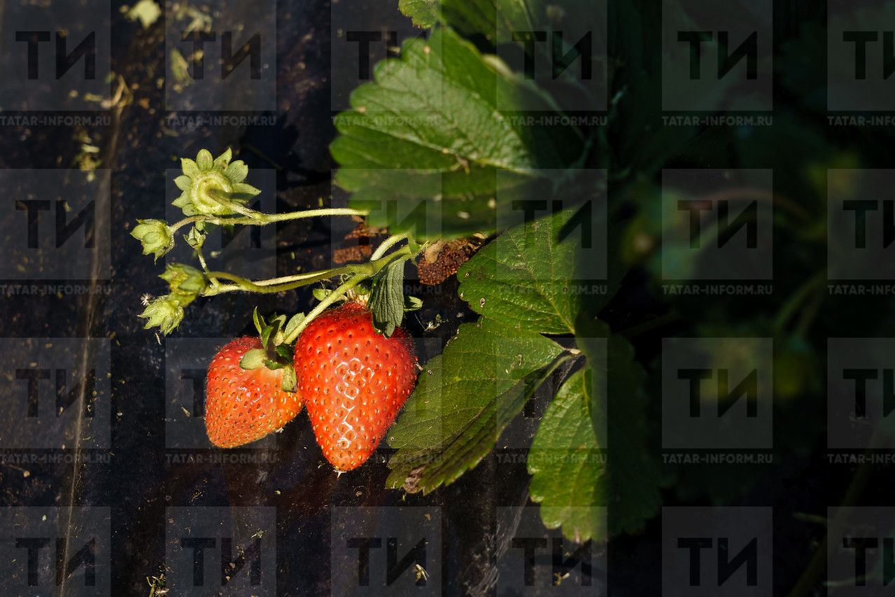 Народные приметы на 9 июля 2023 года: что нельзя делать в этот день