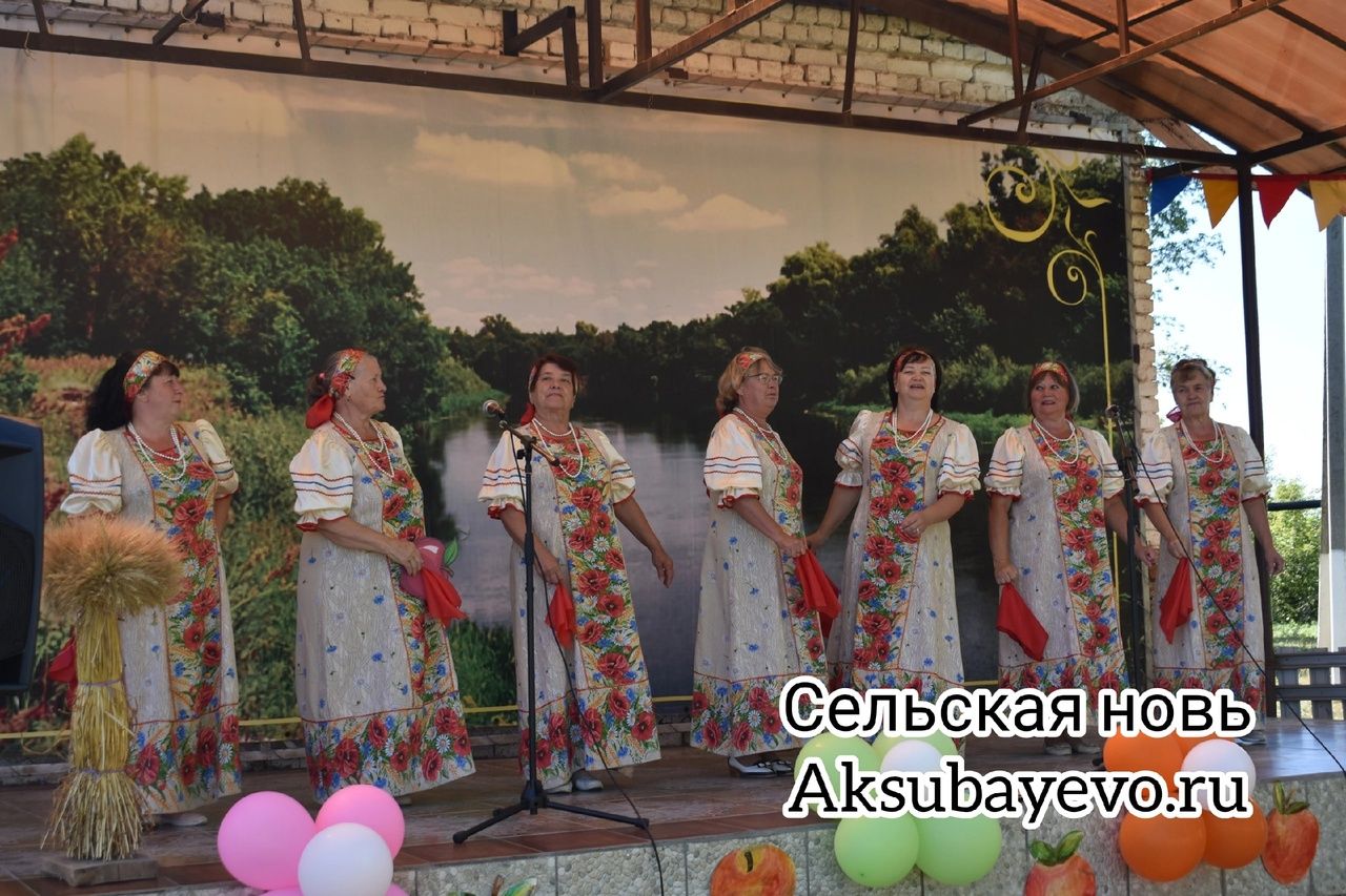 В Аксубаевском районе прошли традиционные «Спасские гуляния»