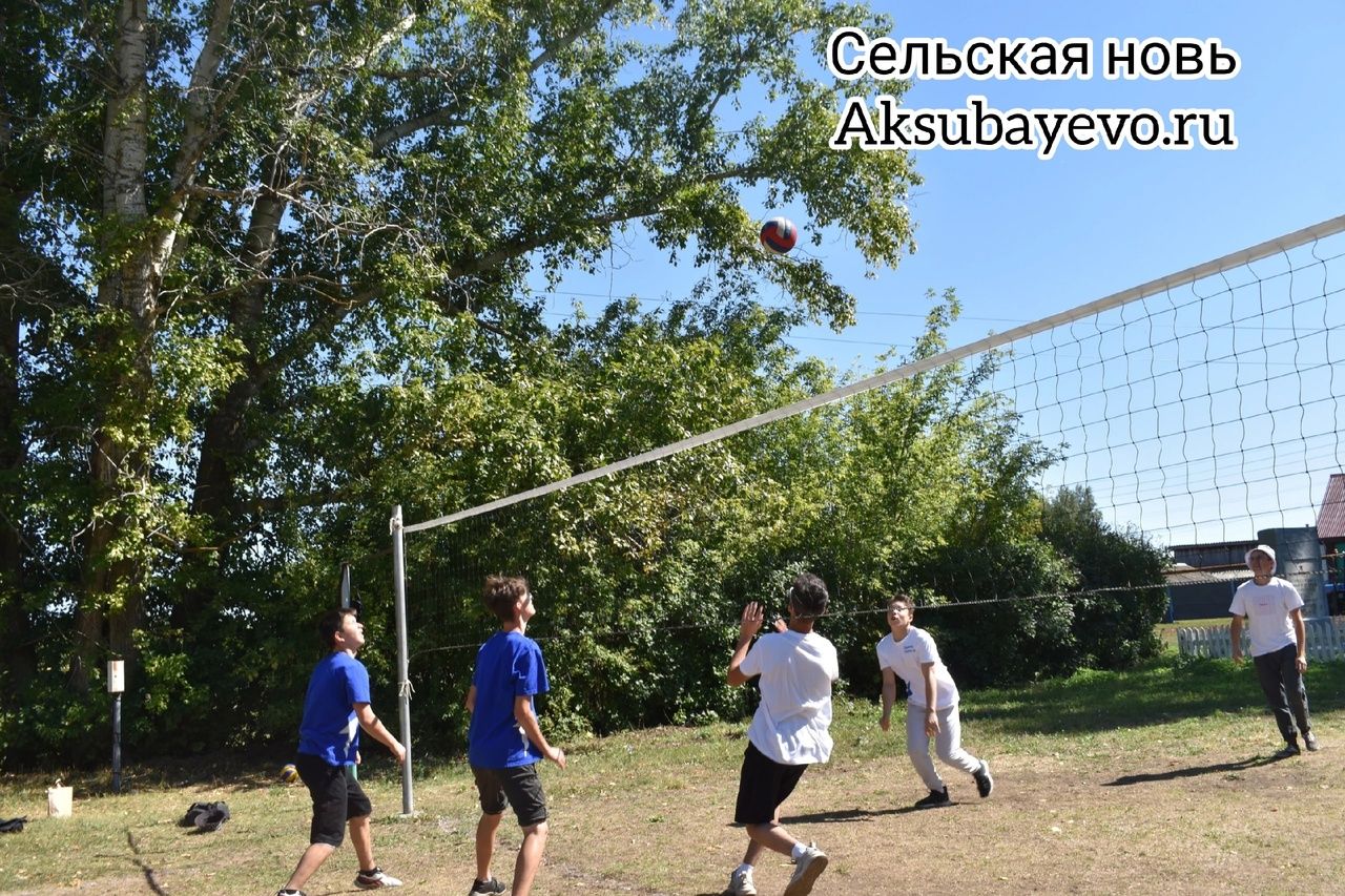 Аксубаевцы отметили яблочный спас волейбольным турниром