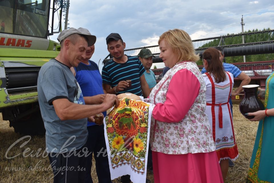 В Аксубаевском районе лучшие на жатве получили награды