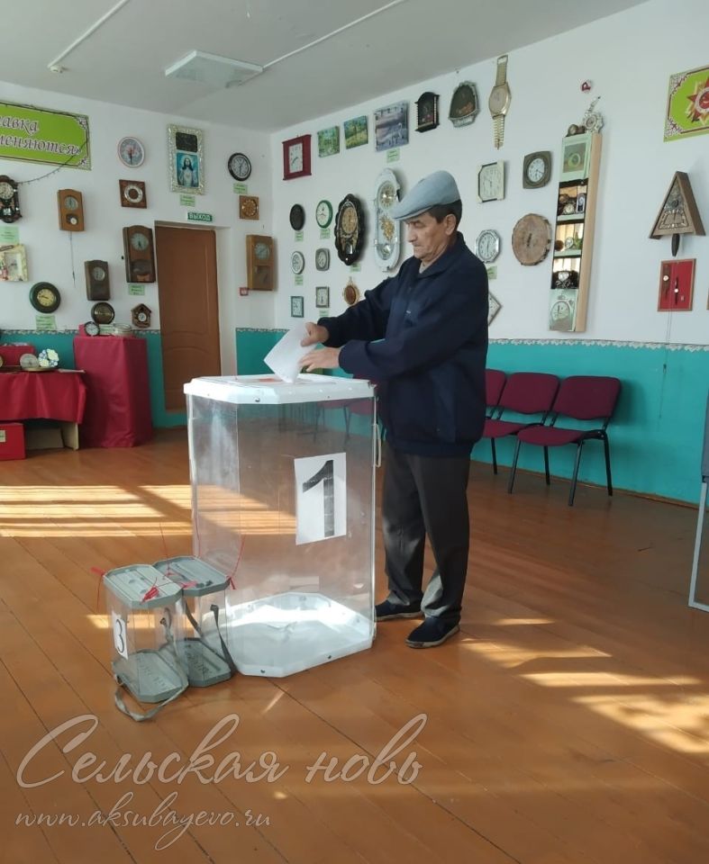 В Аксубаевском районе проходят допвыборы депутатов органов местного самоуправления
