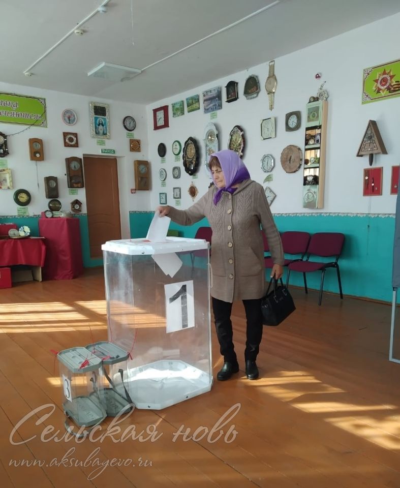 В Аксубаевском районе проходят допвыборы депутатов органов местного самоуправления