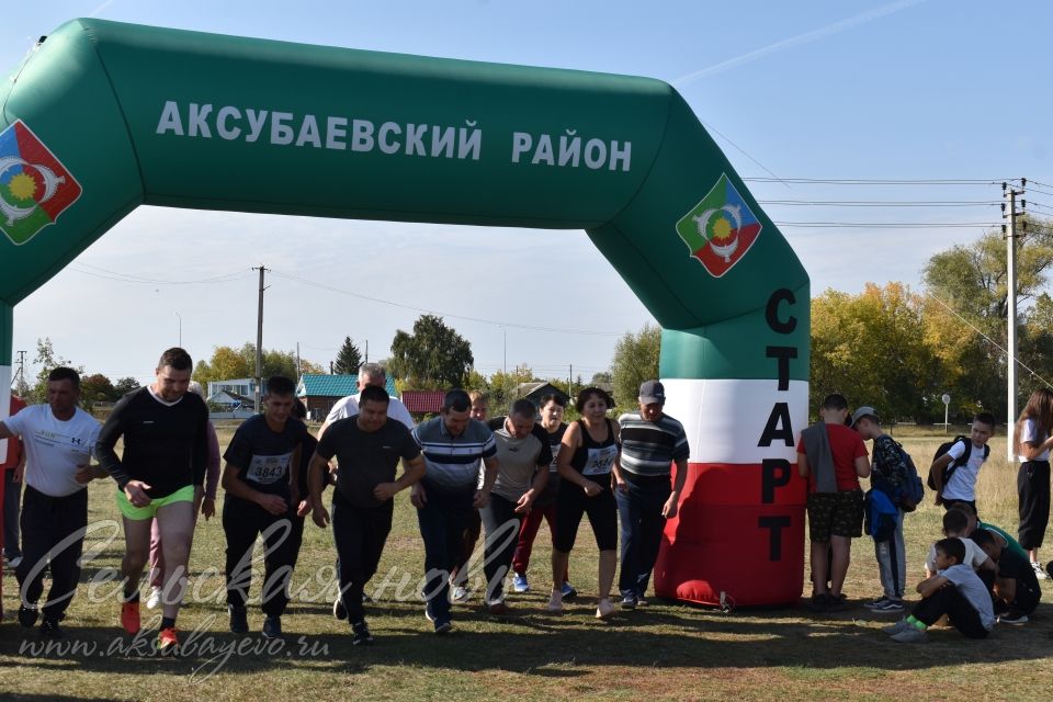 В Аксубаеве в  «Кроссе нации» , «Кроссе Татарстана» стартовали более трехсот спортсменов района