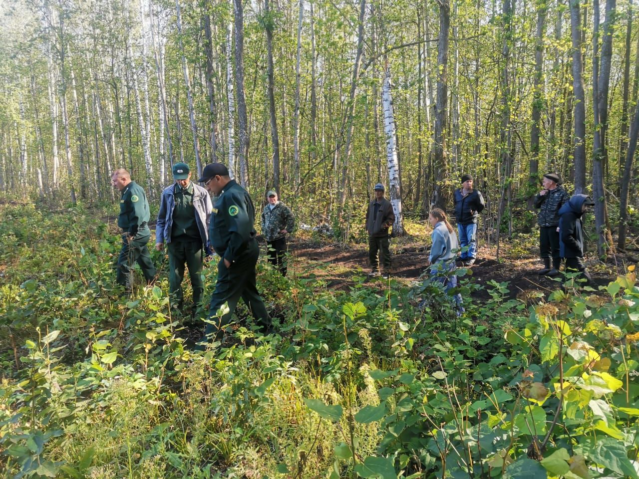 Аксубаевские лесоводы оценили работу ибрайкинских коллег