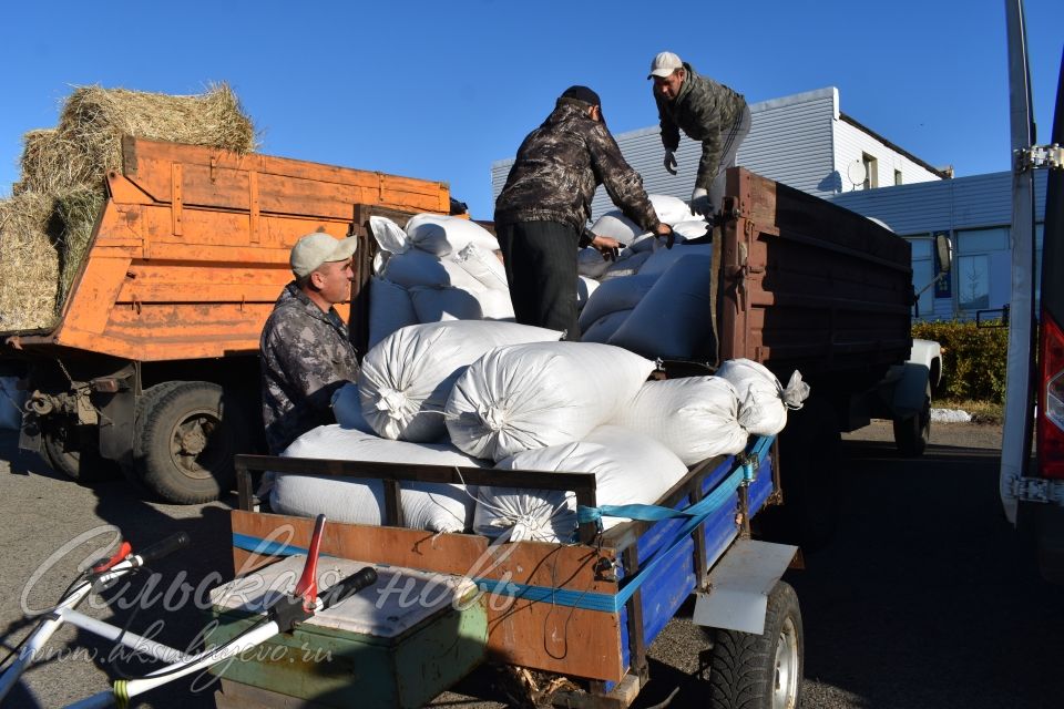 Аксубаевская сельхозярмарка собрала весь район