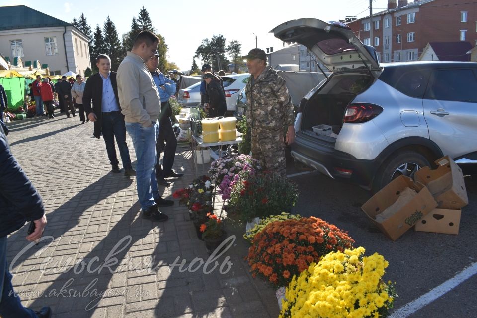 Аксубаевская сельхозярмарка собрала весь район