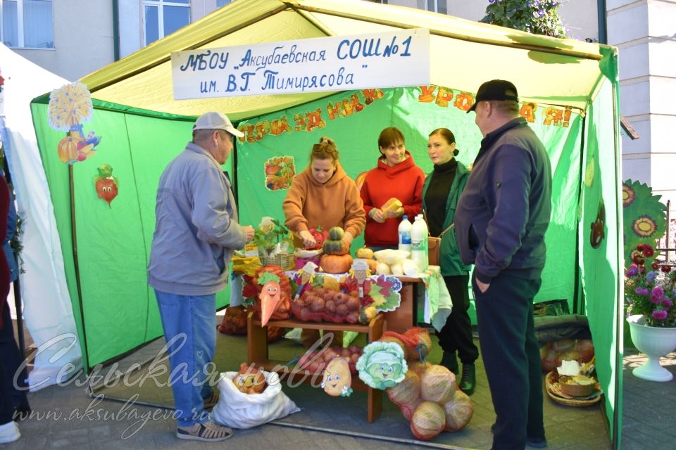 Аксубаевская сельхозярмарка собрала весь район