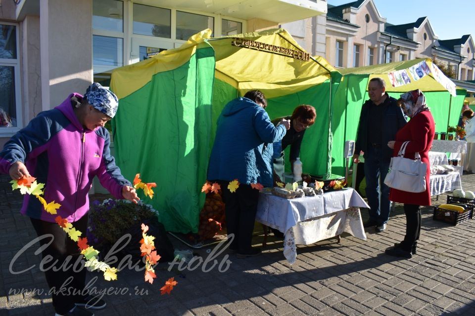 Аксубаевская сельхозярмарка собрала весь район