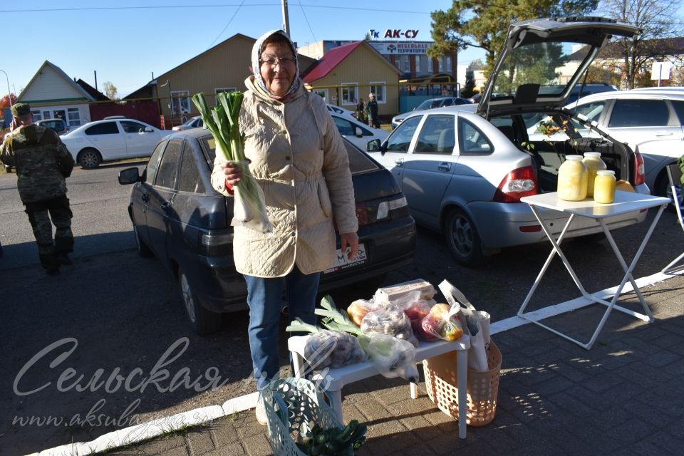 Аксубаевская сельхозярмарка собрала весь район