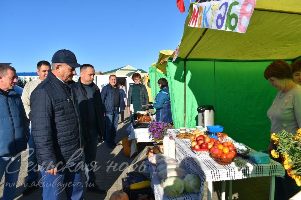 Аксубаевская сельхозярмарка собрала весь район