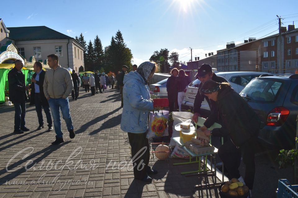 Аксубаевская сельхозярмарка собрала весь район