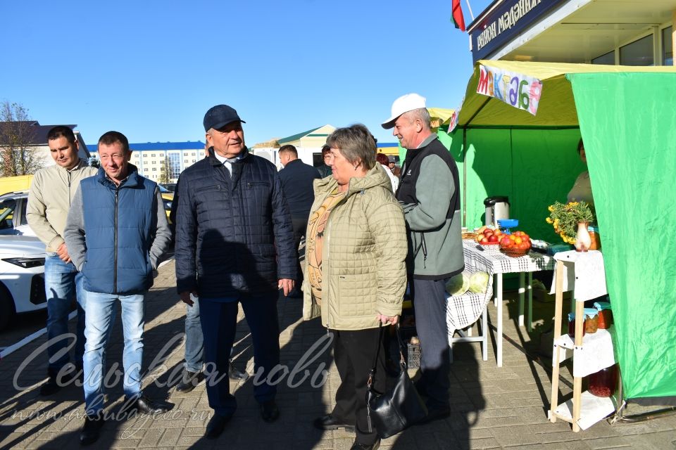 Аксубаевская сельхозярмарка собрала весь район