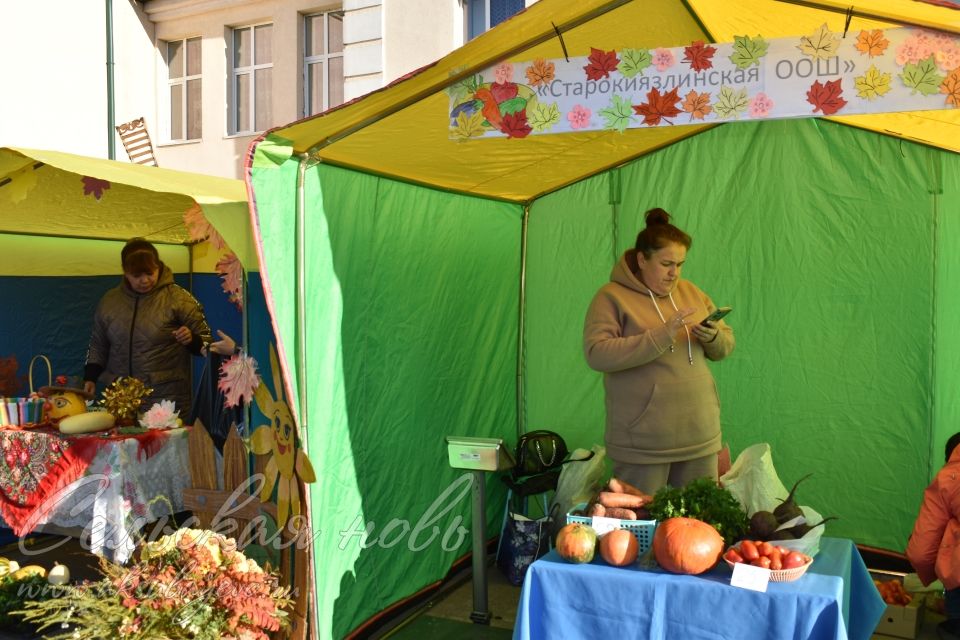 Аксубаевская сельхозярмарка собрала весь район