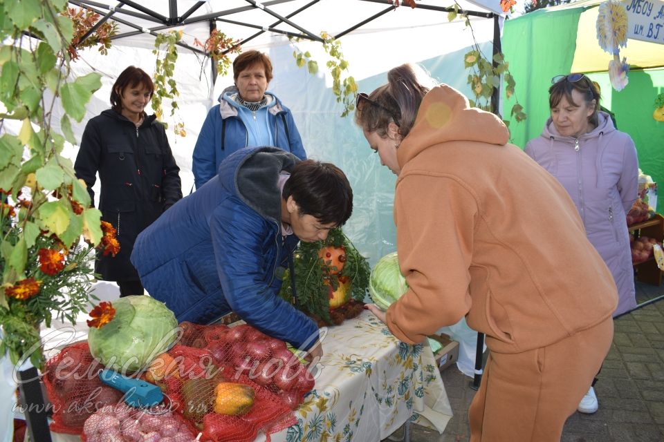 Аксубаевская сельхозярмарка собрала весь район