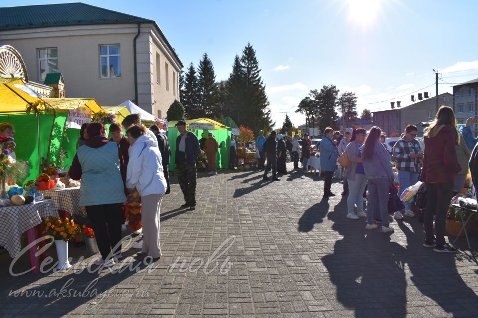 Аксубаевская сельхозярмарка собрала весь район