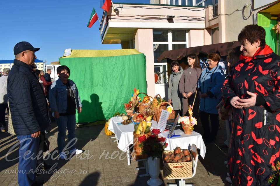 Аксубаевская сельхозярмарка собрала весь район