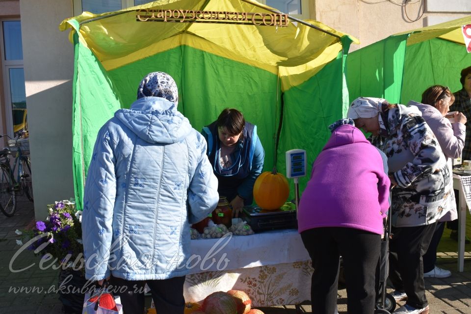 Аксубаевская сельхозярмарка собрала весь район