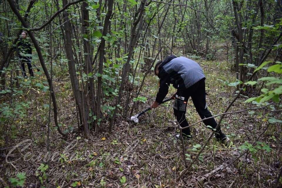 Аксубаевские леса от непарного шелкопряда защитили школьники-волонтеры