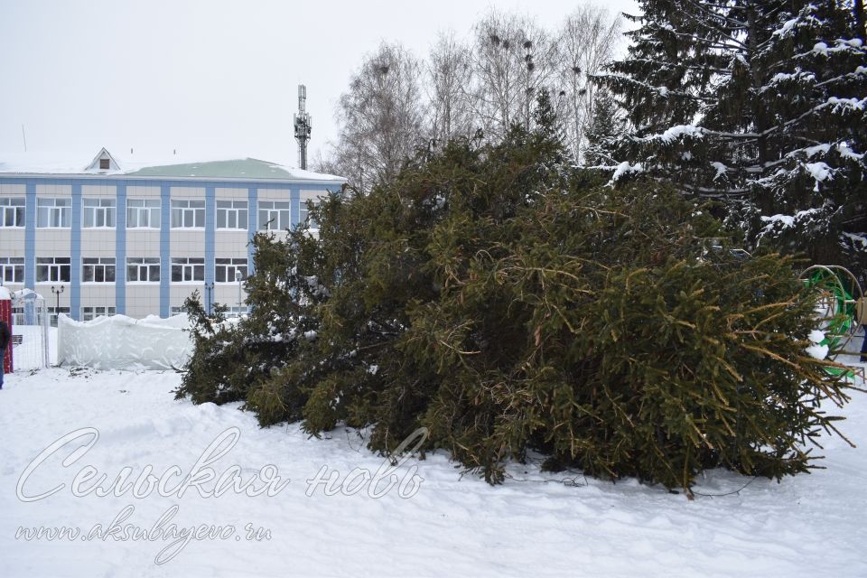 Аксубаевская елка «пошла на покой»
