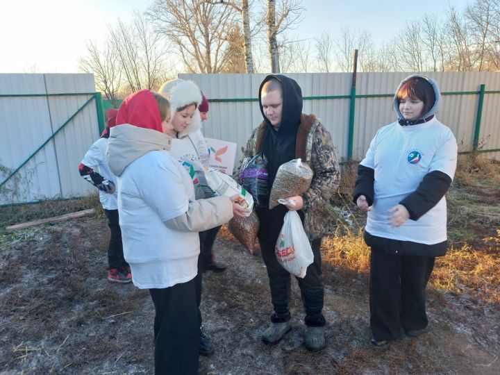 Аксубай зооволонтерлары йортсыз хайваннар өчен приютка азык тапшырдылар