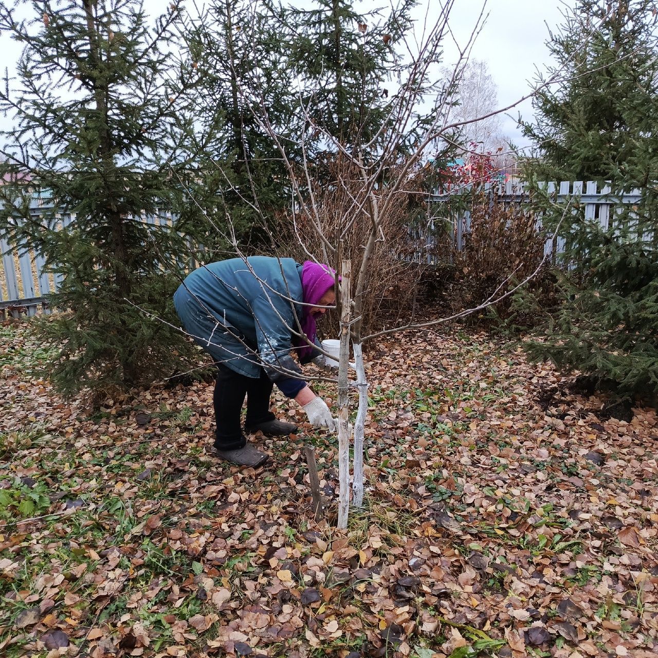 Мәдәният учагы хезмәткәрләре акцияне оештыручылар булдылар