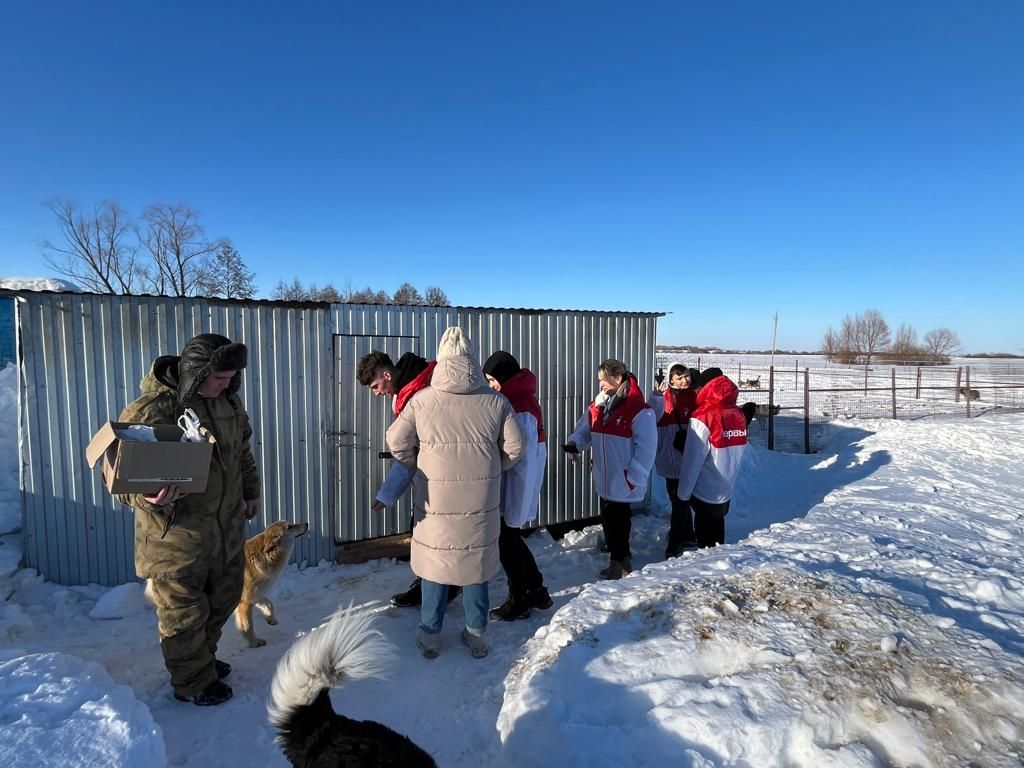 Аксубай җәмәгать эшлеклеләре йортсыз хайваннар приютында булдылар