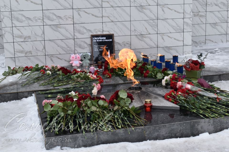 Аксубаевцы почтили память погибших от теракта в Подмосковье