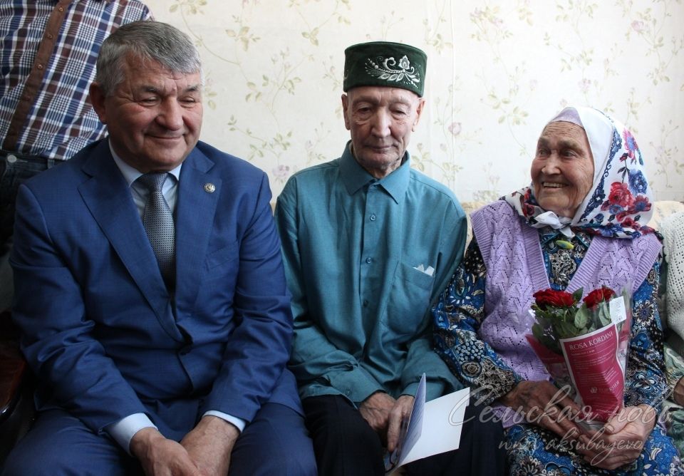 А по утру к ветеринару из Аксубаевского района слетаются голуби