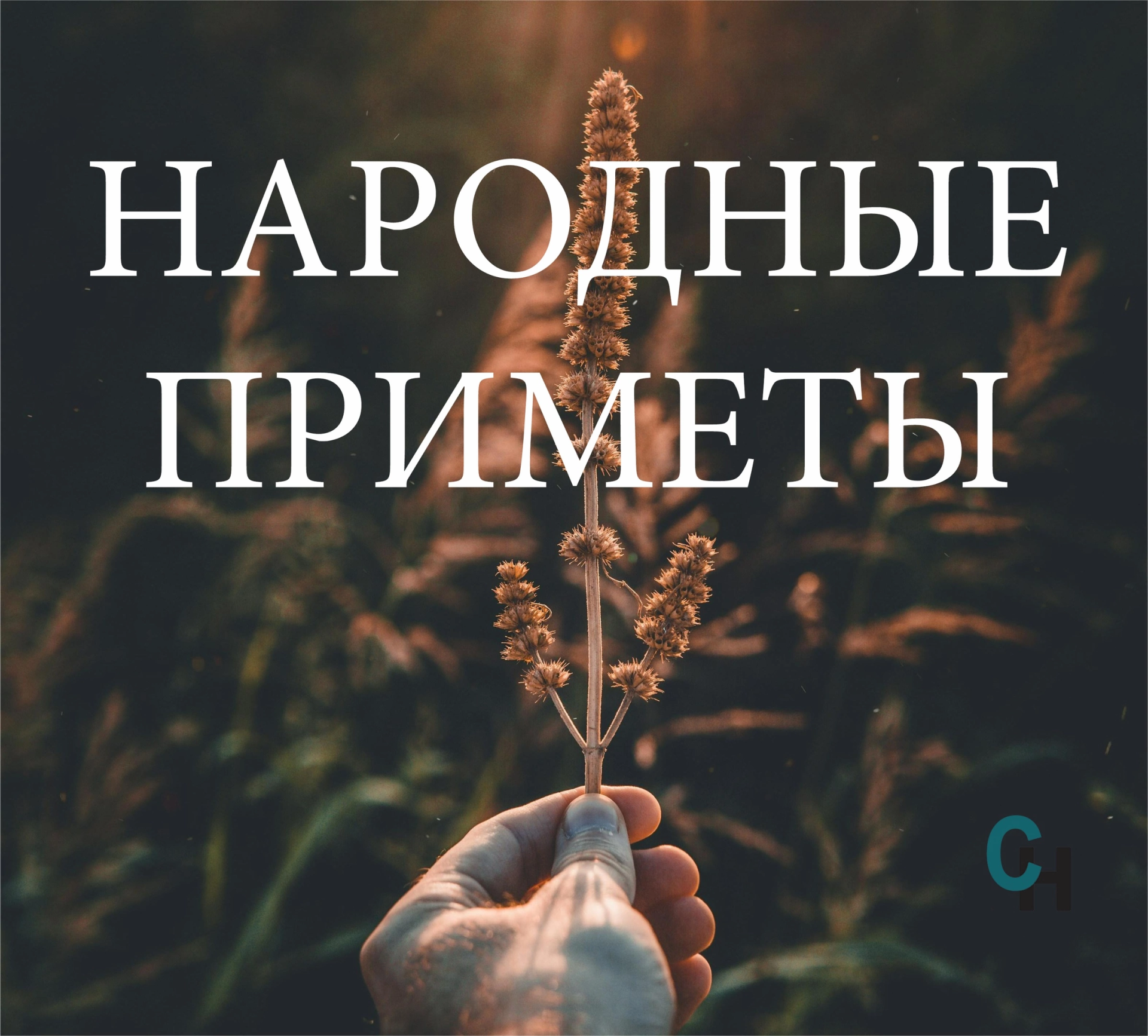 Народные приметы на 24 мая 2024 года: что нельзя делать в этот день