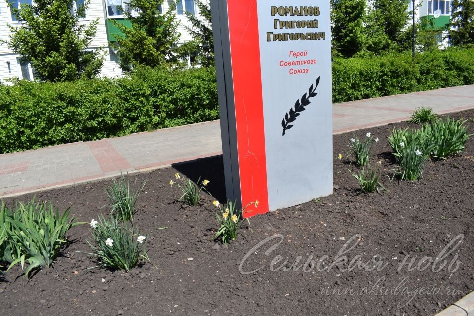 Меңләгән петуния, бәрхет гөл һәм сальвийлар чәчәк атачак