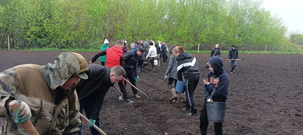 В сельских школах посадили картофель и оформили клумбы