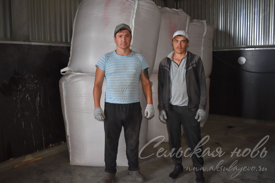 Киләсе ел уңышына бүген нигез салына