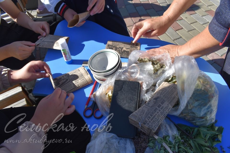 Аксубайдагы Экофестиваль: табигатьне яратырга һәм сакларга өйрәтү