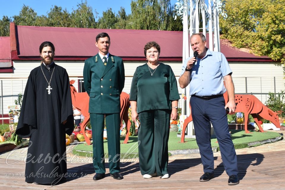 Аксубайдагы Экофестиваль: табигатьне яратырга һәм сакларга өйрәтү