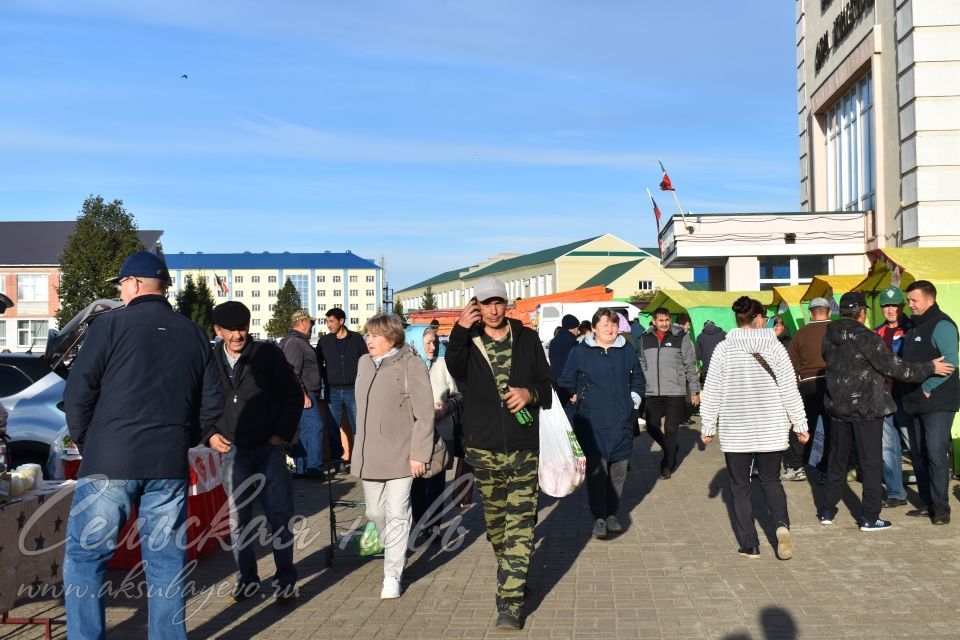 Аксубайда авыл хуҗалыгы ярминкәсе узды