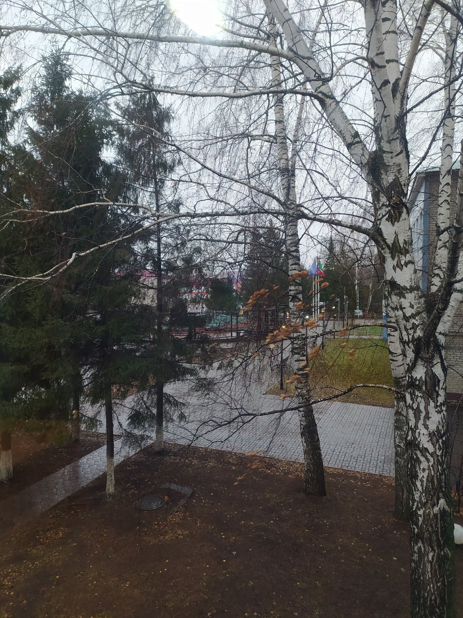 Прогноз погоды в Аксубаеве на 14 октября