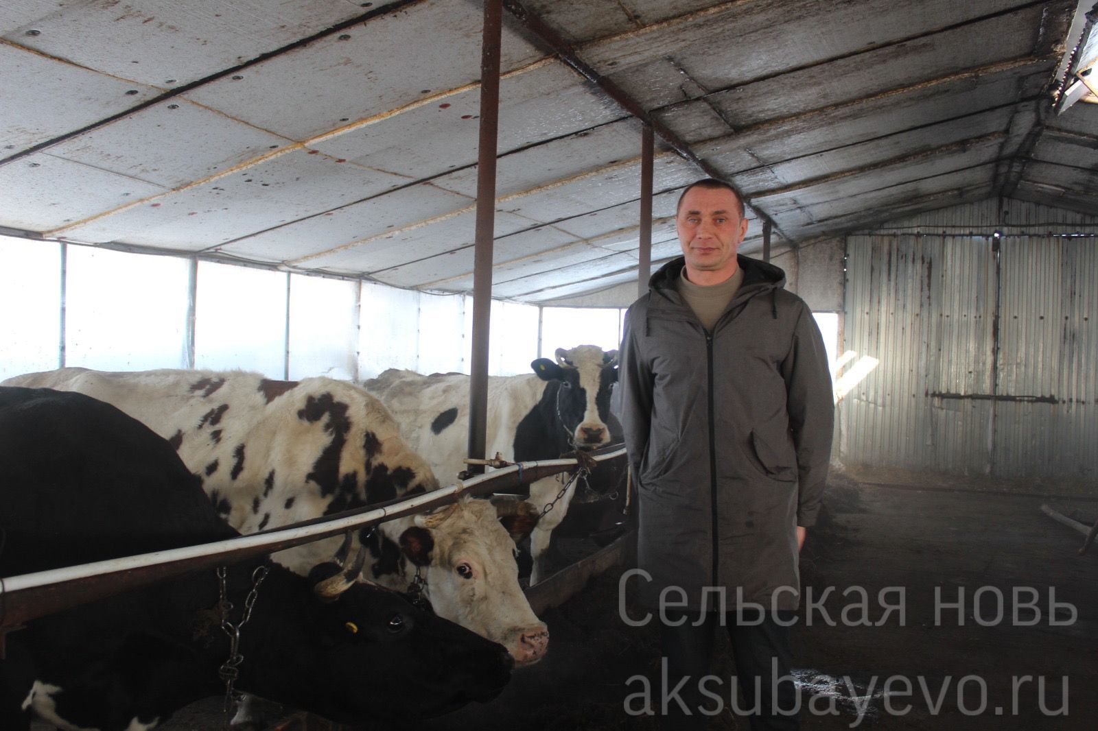 Житель Аксубаевского района сельской сцене предпочел фермерское дело